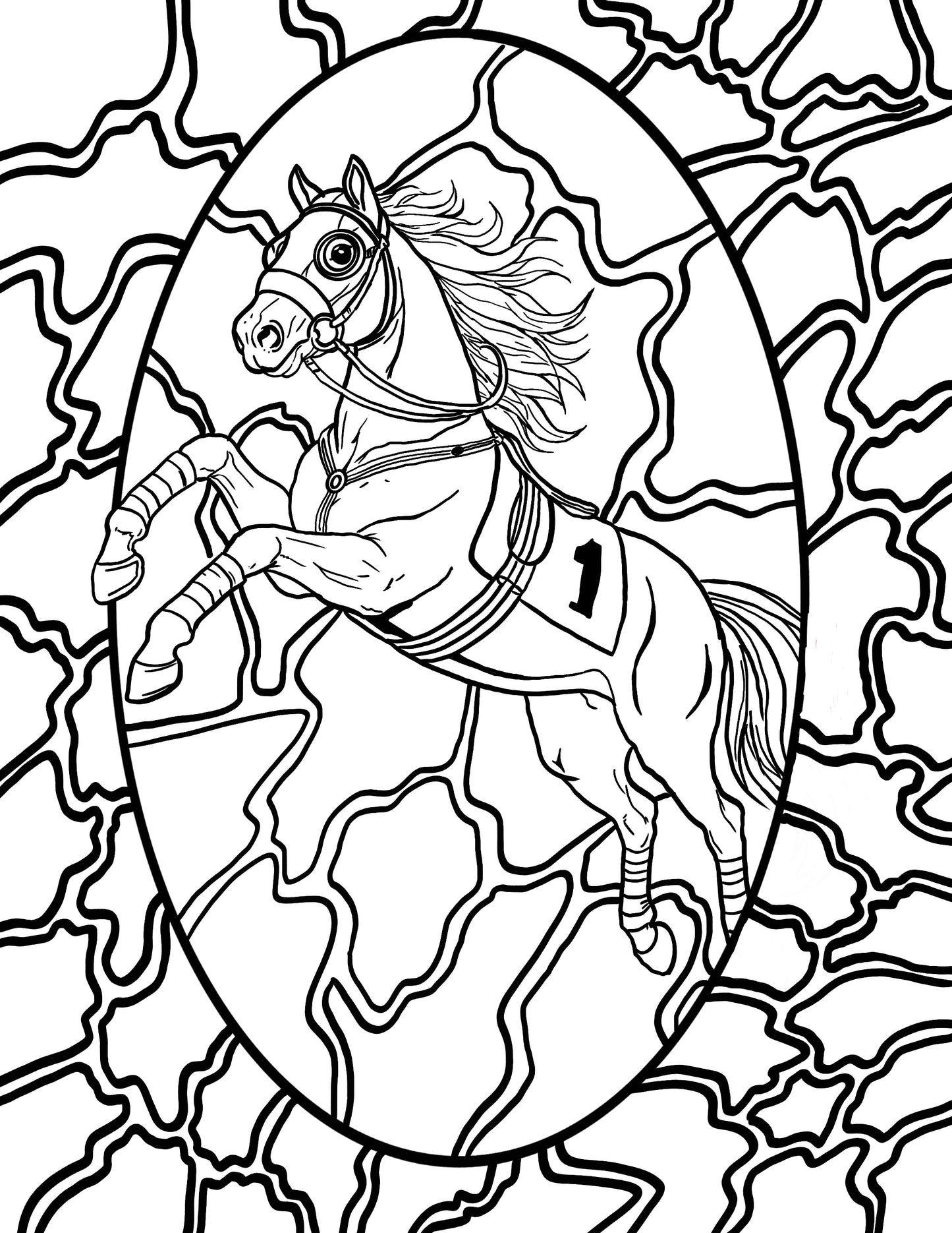 The great American Horse Race