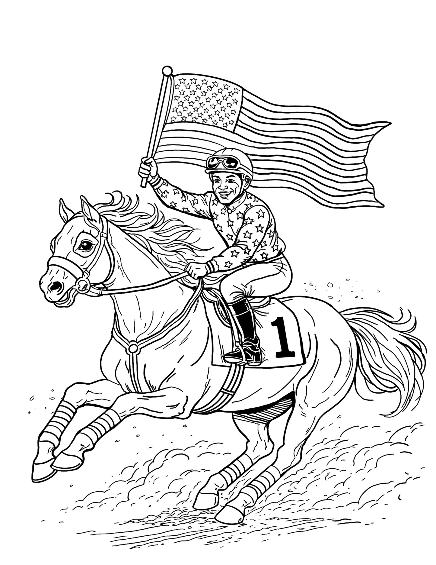 The great American Horse Race